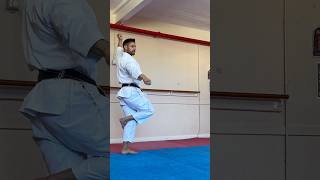 The 3 K’s of Karate shotokan karate martialarts shorts [upl. by Ycniuqed510]