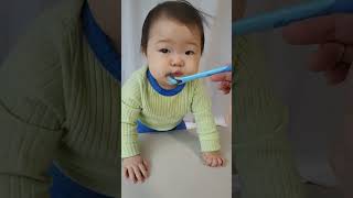 아기 과일 퓨레 냠냠 10개월아기 koreanbaby [upl. by Nannaihr]