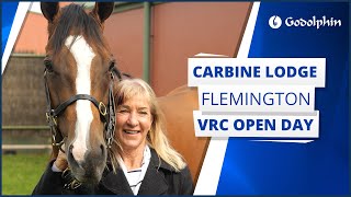 🇦🇺 Godolphin Carbine Lodge  Flemington VRC Open Day 2024 [upl. by Pedaias]