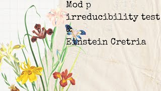 Mod P irreducibility test amp Einstein Cretria [upl. by Dyche996]