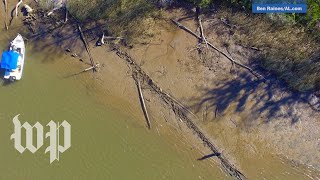 What happened to the Clotilda Last US slave ship may have been unearthed [upl. by Arno798]