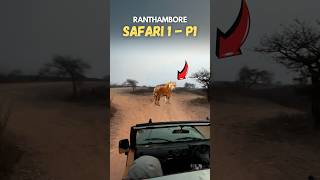 Safari in Ranthambore Zone 3  P1 🐅 ranthamboresafari ranthambore tiger riddhi wildlifesafari [upl. by Ellehcirt]