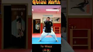 Kata Tutorial TeWaza karate karatekata tewaza [upl. by Klump802]