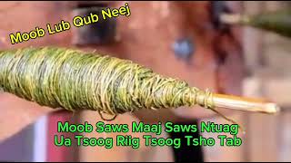 Moob Lub Qub Neej  Saws Maaj Saws Ntuag [upl. by Rossing]