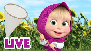 🔴 LIVE STREAM 🎬 Masha and the Bear 🙌🤩 Weekend with Masha 🗓️👧 [upl. by Chivers]