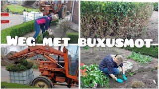 WEG MET BUXUSMOT  Boer Gerrit vlogt [upl. by Bowerman342]