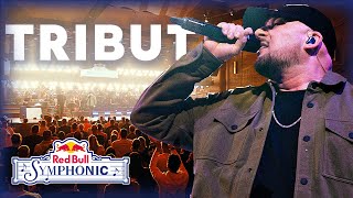 Kool Savas  Tribut  Live  Red Bull Symphonic [upl. by Xerxes]