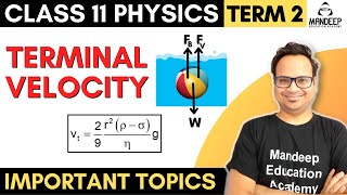 Terminal Velocity Class 11 Physics Term 2 Important Topics For Final Exams [upl. by Aubin]