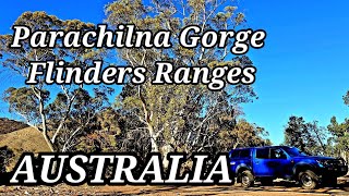 Parachilna Gorge Pt 1 in the majestic Flinders Ranges Adventure with Bernie [upl. by Hallimaj]