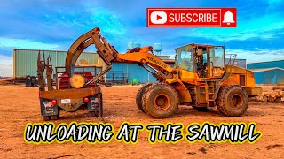 BIG WHEEL LOADER Unloading at the sawmill172 [upl. by Eidna]