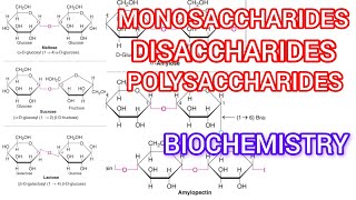 Monosaccharide disaccharide polysaccharide isomer ❤️ [upl. by Townie]