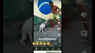 Brazilian Dog Dancing Meme😂meme dog dancing brazilian viral trend  trending KartikSolos [upl. by Cline930]