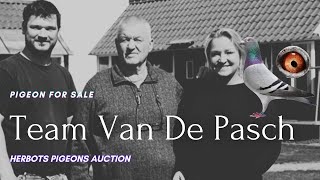 quot Van De Pasch quot Great Racing Pigeon For Sale In Herbots Pigeons Auction [upl. by Guzel]