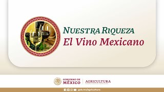 Nuestra Riqueza El Vino Mexicano [upl. by Aniar]