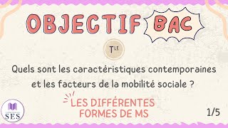 BAC Cours Mobilité Sociale  Les formes de mobilité sociale [upl. by Anitrak]