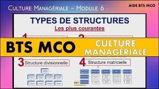 AIDE BTS MCO  Quelles sont les différents types de structures   CULTURE MANAGERIALE BTS [upl. by Yaral455]