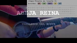 Abeja Reina  Traileros del Norte  Tabs Requinto Cover [upl. by Guthrey]