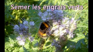 Semer les engrais verts  Les 4 Saisons du jardin bio [upl. by Nyrret]