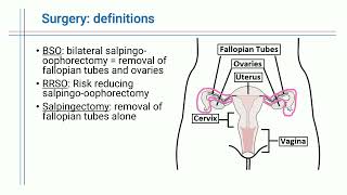 Reducing Endometrial and Ovarian Cancer Risk [upl. by Sandor726]