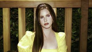 Lana Del Rey  Wildflower Wildfire Filtered Instrumental [upl. by Ecnerret]