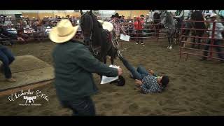 Se cae del caballo bailando en la competencia de caballos bailadores [upl. by Bergmans]