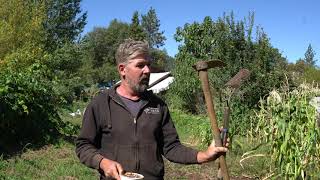 How to Plant amp Grow Cover Crops [upl. by Daniels]