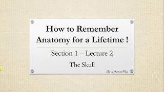 How to Remember Anatomy for a Lifetime  Skull Anatomy Mnemonics [upl. by Nacnud457]