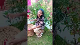 Bhad m jaye bhad m jayeyoutube dance funny clipsfunny videotranding [upl. by Atteirneh]