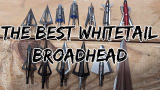 The Best Broadhead for Whitetail Hunting [upl. by Fawcett]