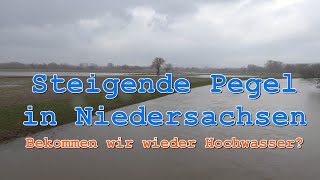 Steigende Leine Pegelstände in Niedersachsen ► 1222024 ► Bekommen wir wieder Hochwasser [upl. by Eiramoj]