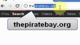 How To Download Torrents From The Pirate Bay [upl. by Katzen502]