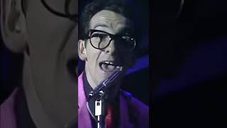 Elvis Costello amp The Attractions performing quotAccidents Will Happenquot at Top of The Pops in 1979 [upl. by Nesnaj632]