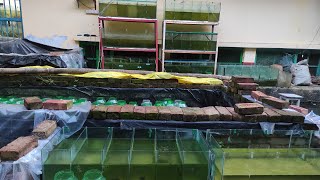 Learn Why My new farm tank setup is on the Rise [upl. by Nageem]