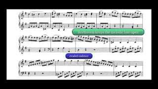 Beethoven Analysis Piano Sonata in G Major Op 49 No 2 I Allegro [upl. by Leur]