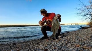 Fishing Wilson Dam from the Bank [upl. by Adiol]