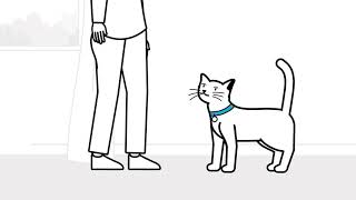 Understanding Cat Body Language  The Battersea way [upl. by Gram648]