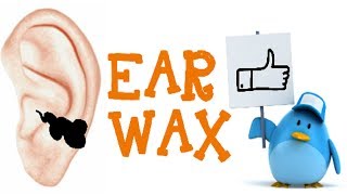 Ear Wax  Do we need it  Does it have benefits [upl. by Saddler]