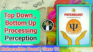 Chapter 4 Cognitive Processes Part 3 Top Down and Bottom Up Processing Psychology 12th Maharashtra [upl. by Yesiad]