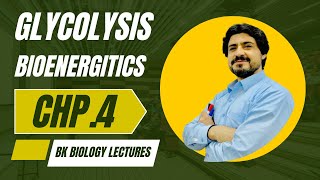 GLYCOLYSIS  MDCAT BIOLOGY Bioenergetics glycolysis bioenergetics [upl. by Doig877]