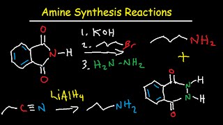 Amine Synthesis Reactions Organic Chemistry  Summary amp Practice Problems [upl. by Annocahs]