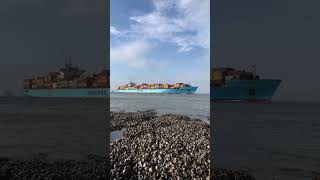 MAERSK LINE SHIP  Maersk Garonne Container Ship  Amazing Sea View shorts ytshorts [upl. by Banebrudge768]