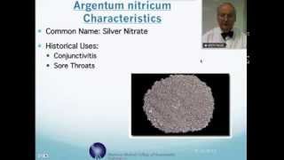 Argentum Nitricum Homeopathic Medicine Tips For Beginners [upl. by Zima557]