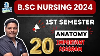 Anatomy का सभी Important Diagrams  इससे बाहर Exam में नहीं आएगा  BSc Nursing 1st SEM 2024 [upl. by Clerissa434]