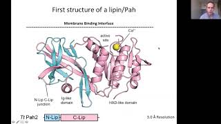 Lipin Phosphatidic Acid Phosphatases  Aug 10th 2020 [upl. by Toms194]