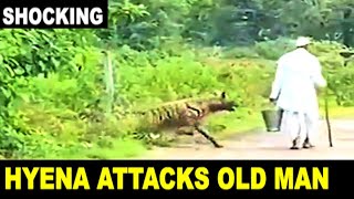 SHOCKING Hyena attacks old man near forest in India [upl. by Florry]