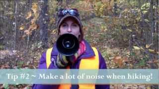 5 tips for fun fall camping in Algonquin GGEscape [upl. by Lindahl]