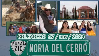 Noria del Cerro La Blanca Zacatecas COLEADERO 17 nov 2024 [upl. by Gavin]