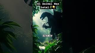 ¡El Ave Más Peligrosa del Mundo El Casuario 😱🦖 animales salvajes peligroso [upl. by Elatan]