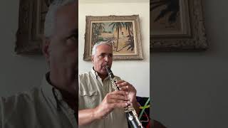 Divertimento 510 Mozart lygeros music clarinet musicalinstrument youtubeshorts viralshort [upl. by Unhsiv569]