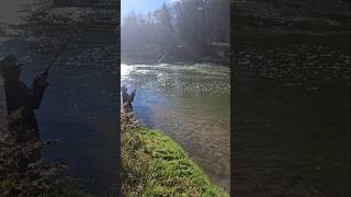 CRISTIAN TROUT FISHING FAIL troutfishing fishing catchandrelease sportfishing [upl. by Nyltak]